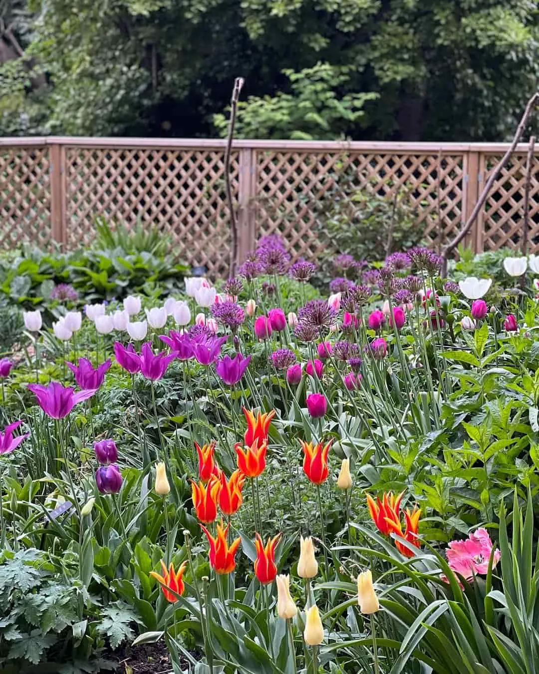 St Jamesโs Park St Jamesโs Park