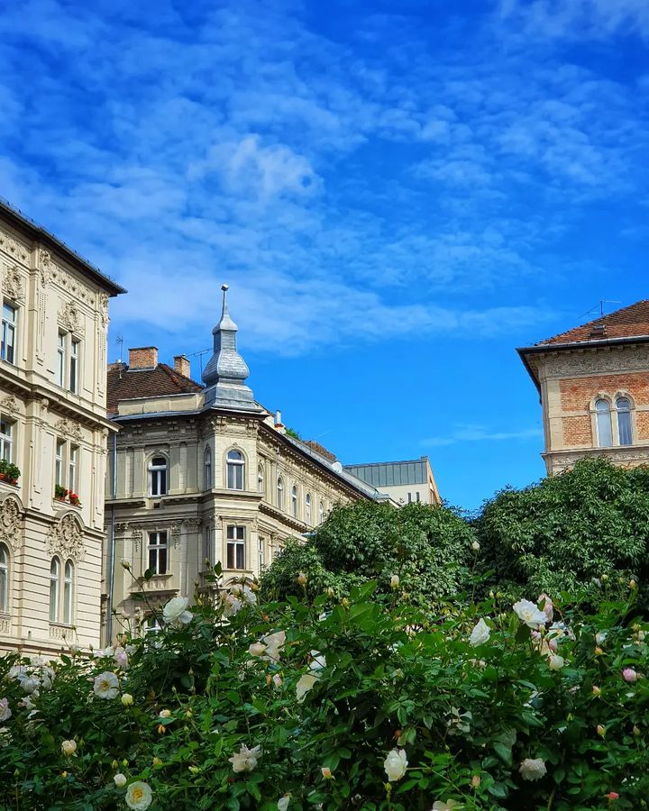 Erzsébetváros Erzsébetváros