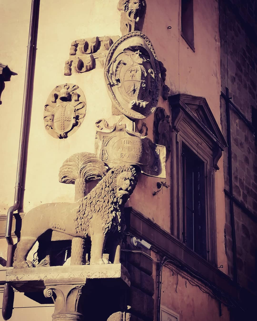 Piazza del Plebiscito Piazza del Plebiscito