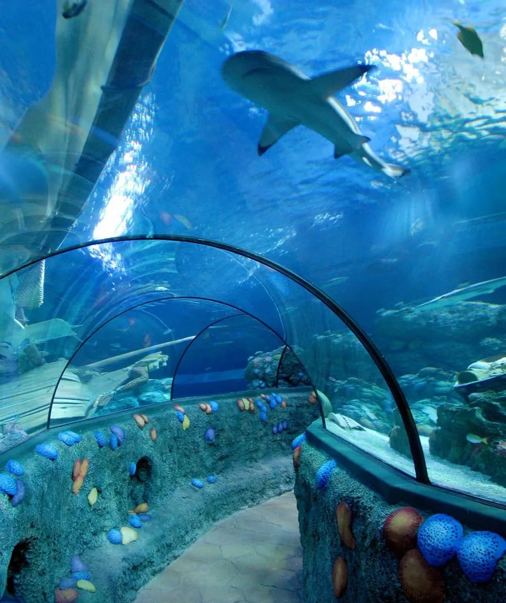 Sea Life London Aquarium Sea Life London Aquarium