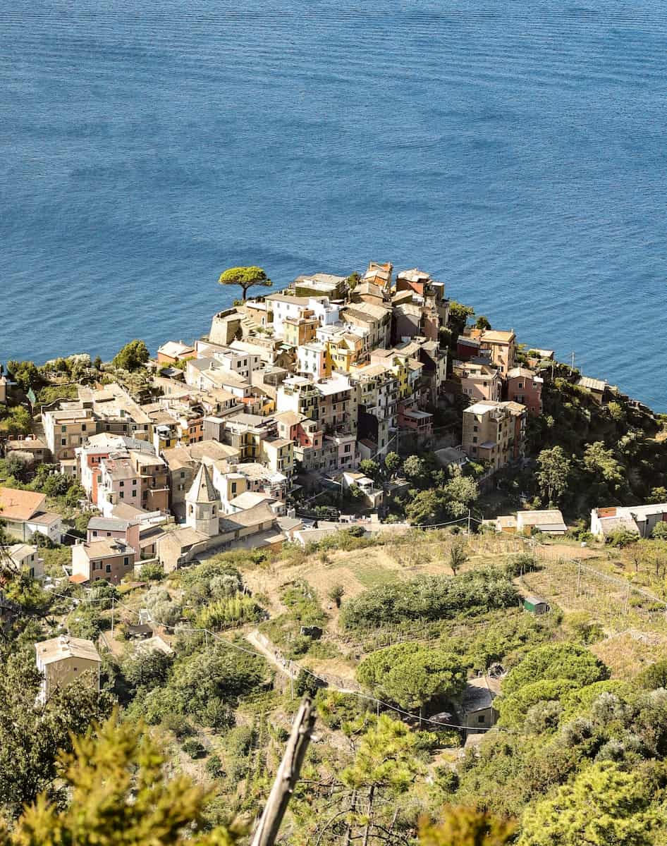 Corniglia (4)