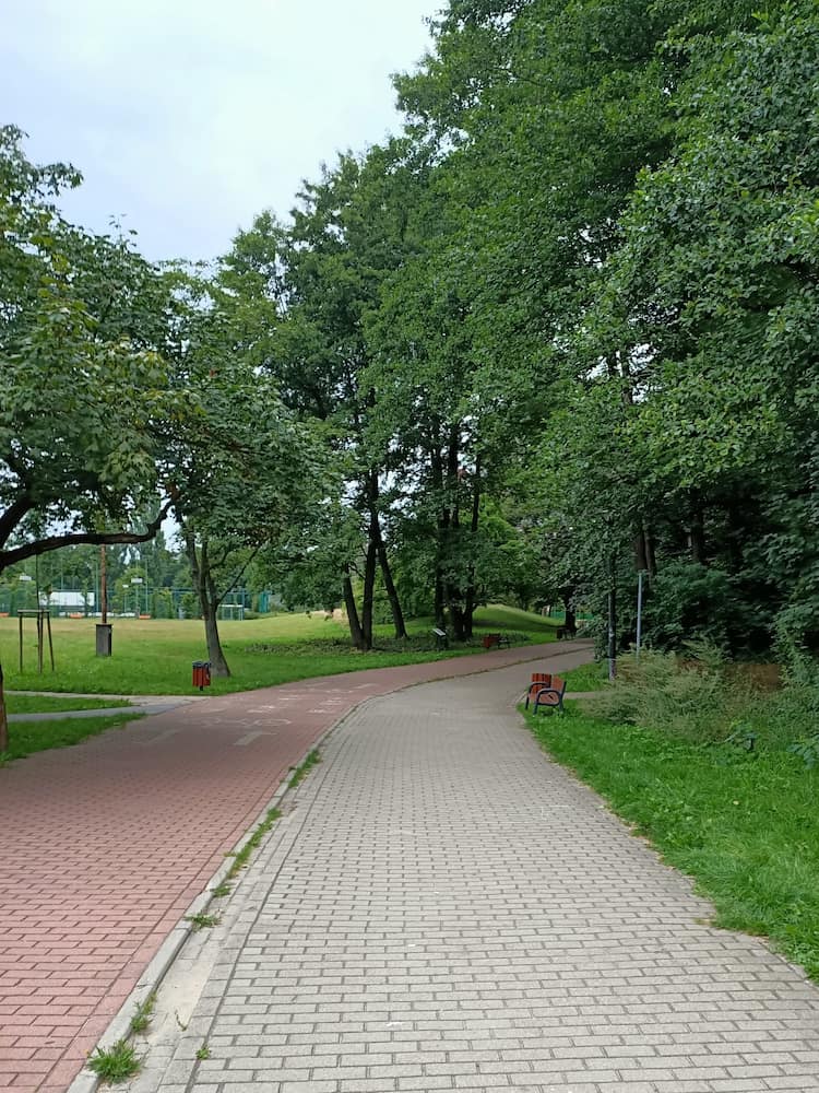 Park Olszyna Park Olszyna