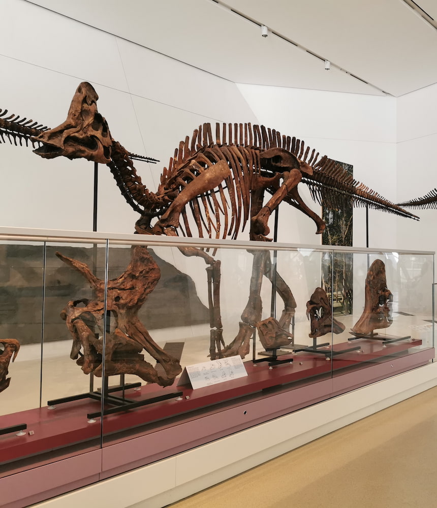 Royal Ontario Museum Royal Ontario Museum