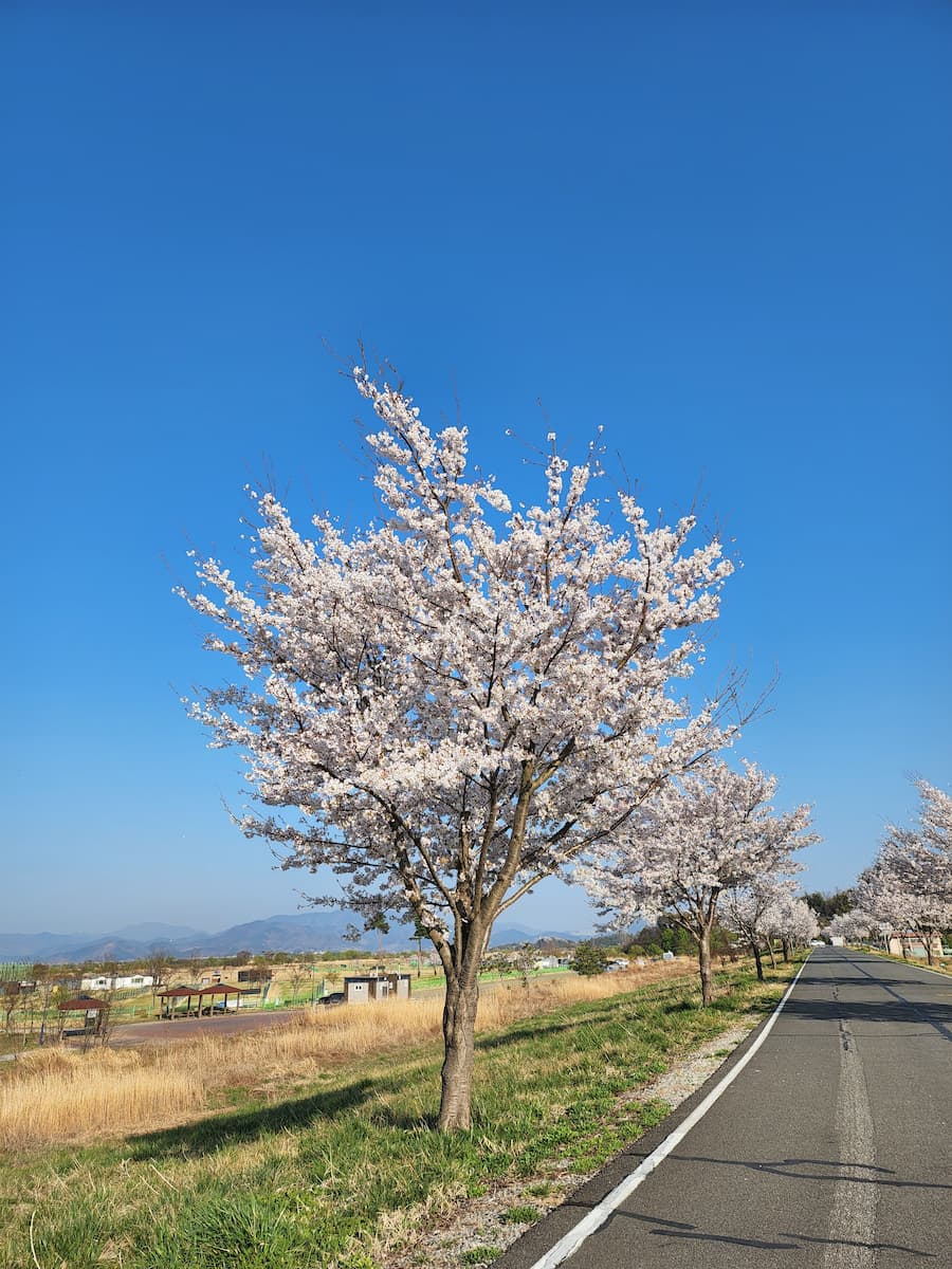 Sasang, Busan Sasang, Busan