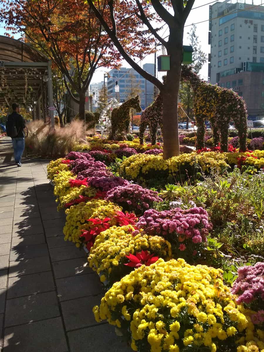 Sasang, Busan Sasang, Busan