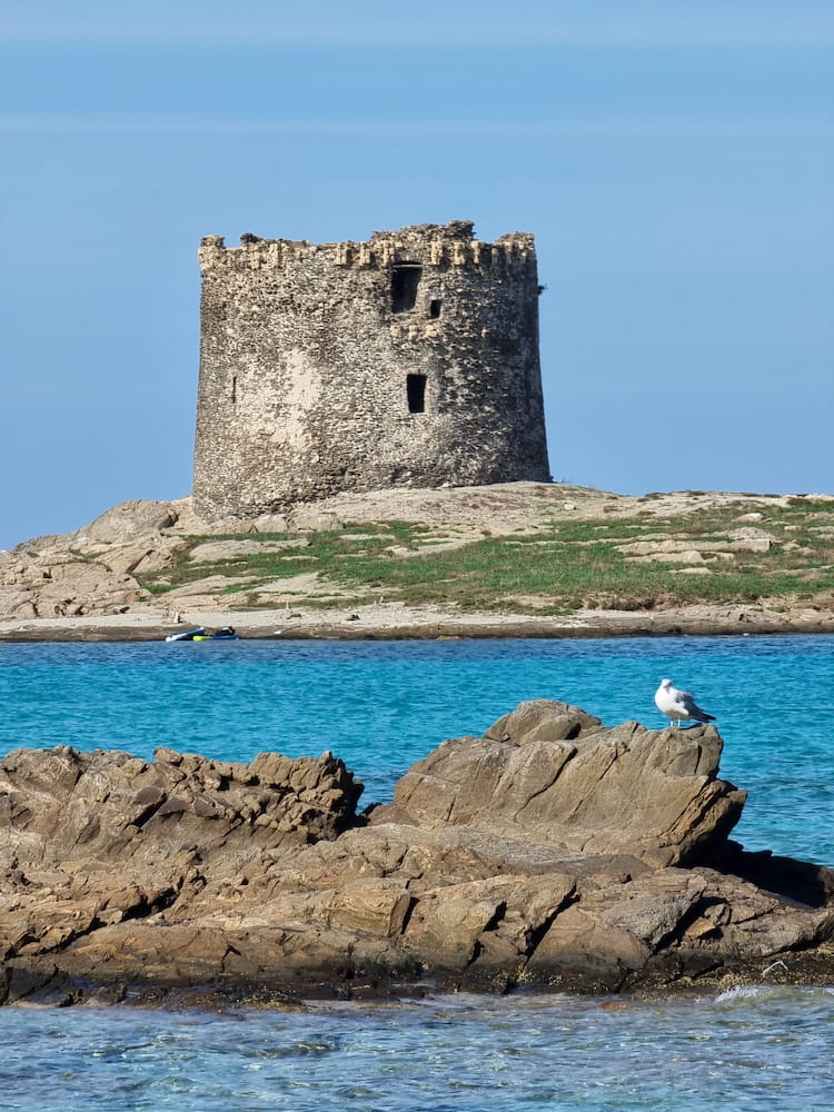 Spiaggia della Pelosa (La Maddalena) Spiaggia della Pelosa (La Maddalena)