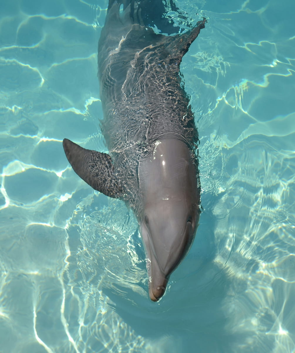 Chankanaab National Park Chankanaab National Park