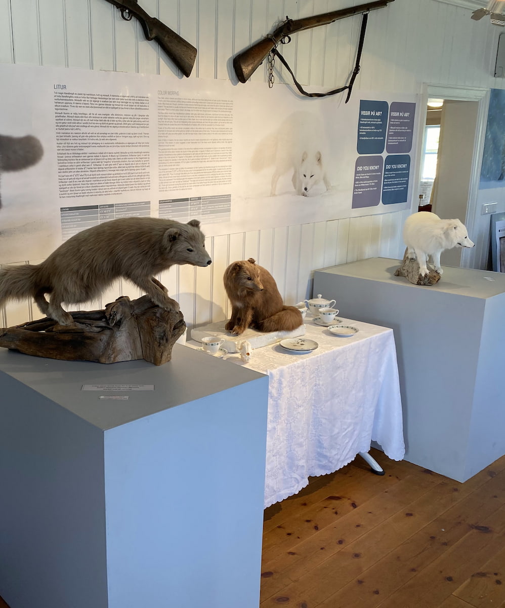 Súðavík/Arctic Fox Center Súðavík/Arctic Fox Center