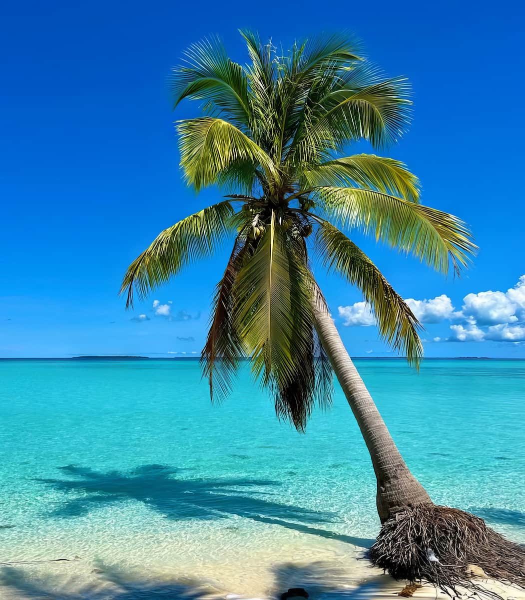 Minor Islands, Palawan Minor Islands, Palawan