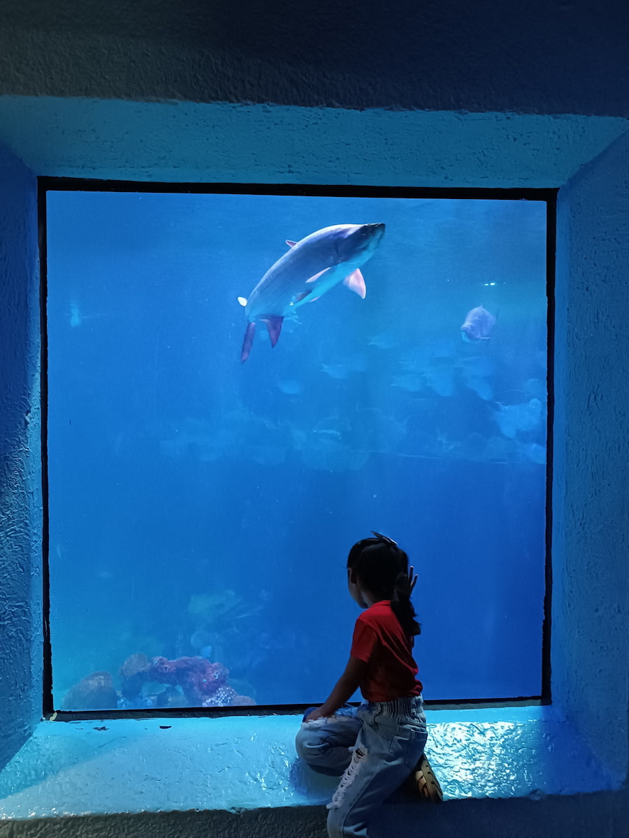 Zona Hotelera, Cancun Zona Hotelera, Cancun