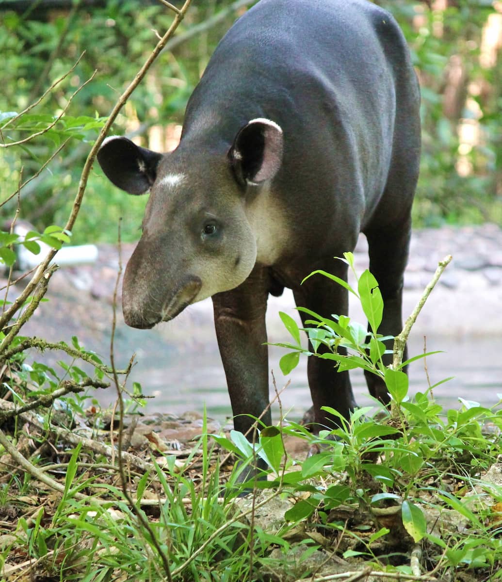 Belize City Belize City