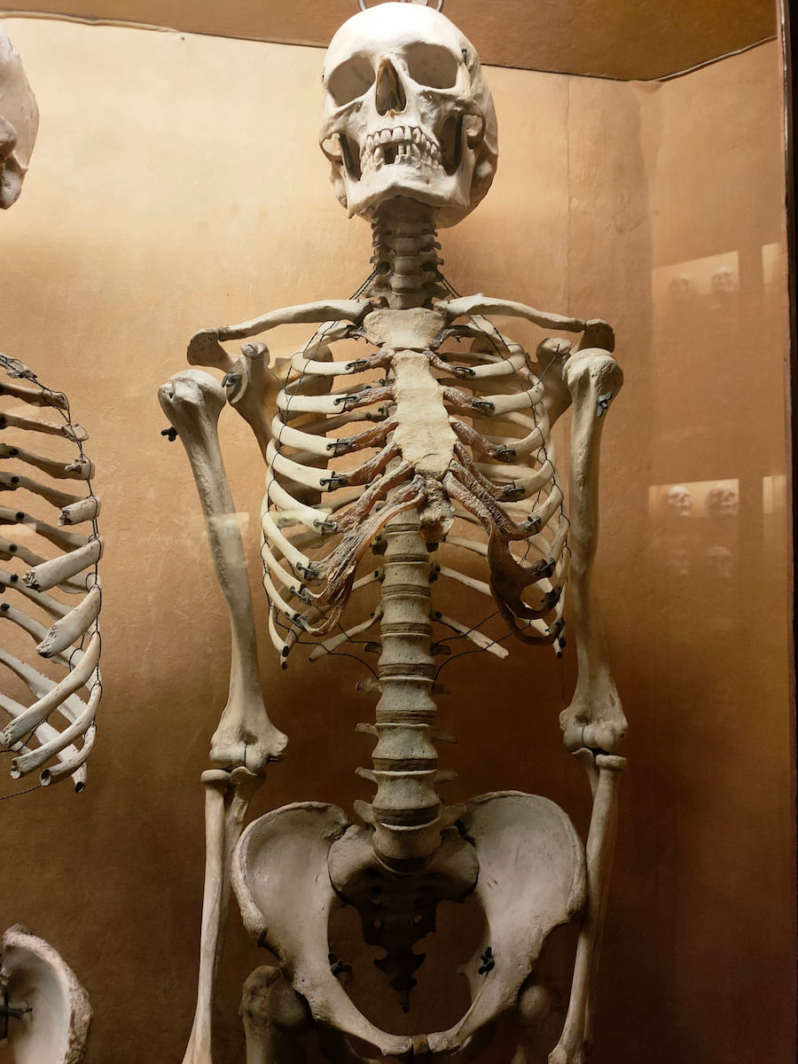 Las Palmas, Gran Canaria Las Palmas, Gran Canaria