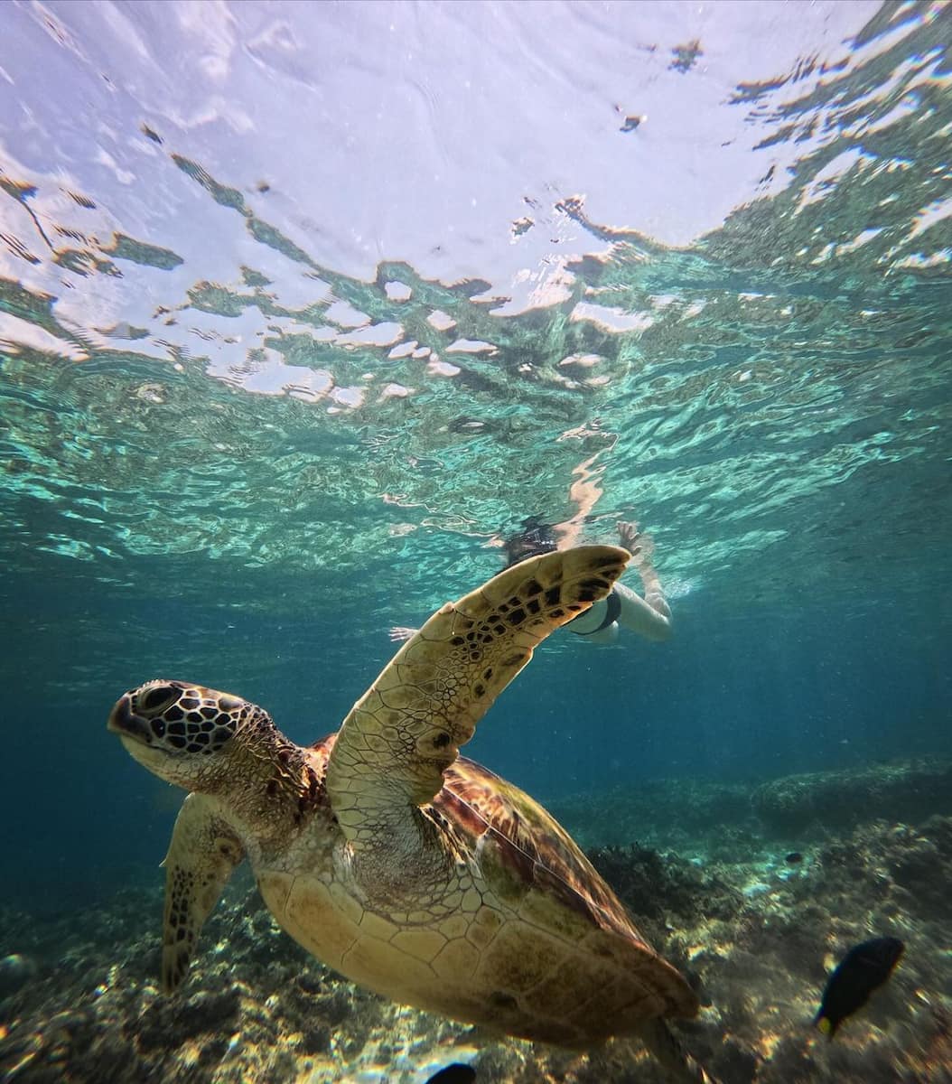 Moalboal, Cebu Moalboal, Cebu