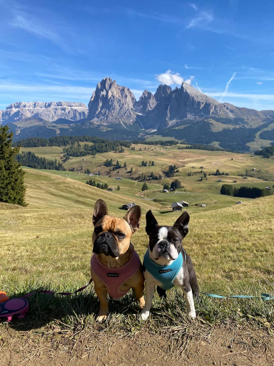 Alpe di Siusi, Dolomites Alpe di Siusi, Dolomites