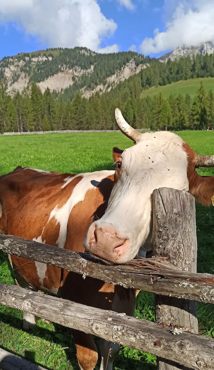 Alta Badia, Dolomites Alta Badia, Dolomites
