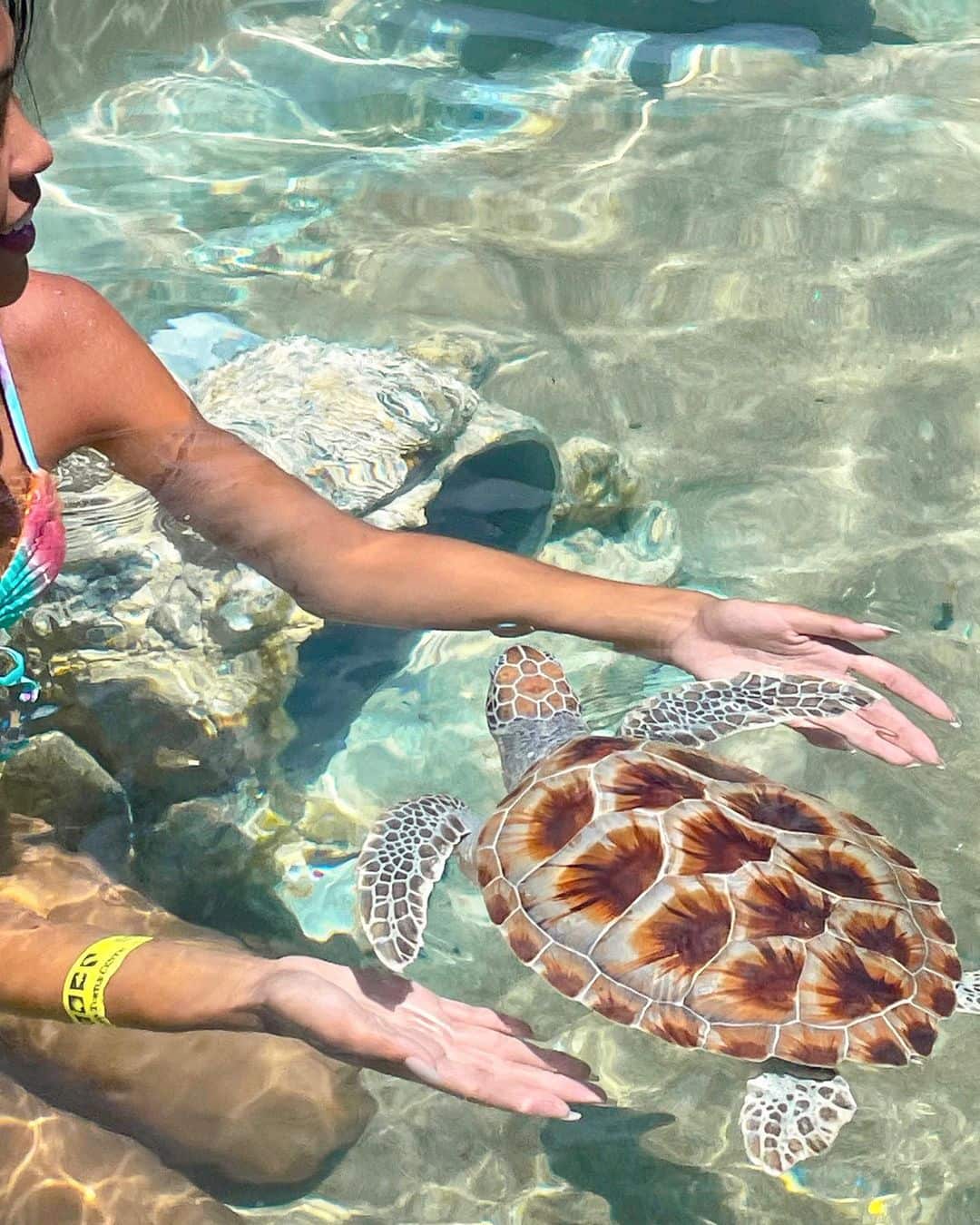 Cayman Turtle Centre