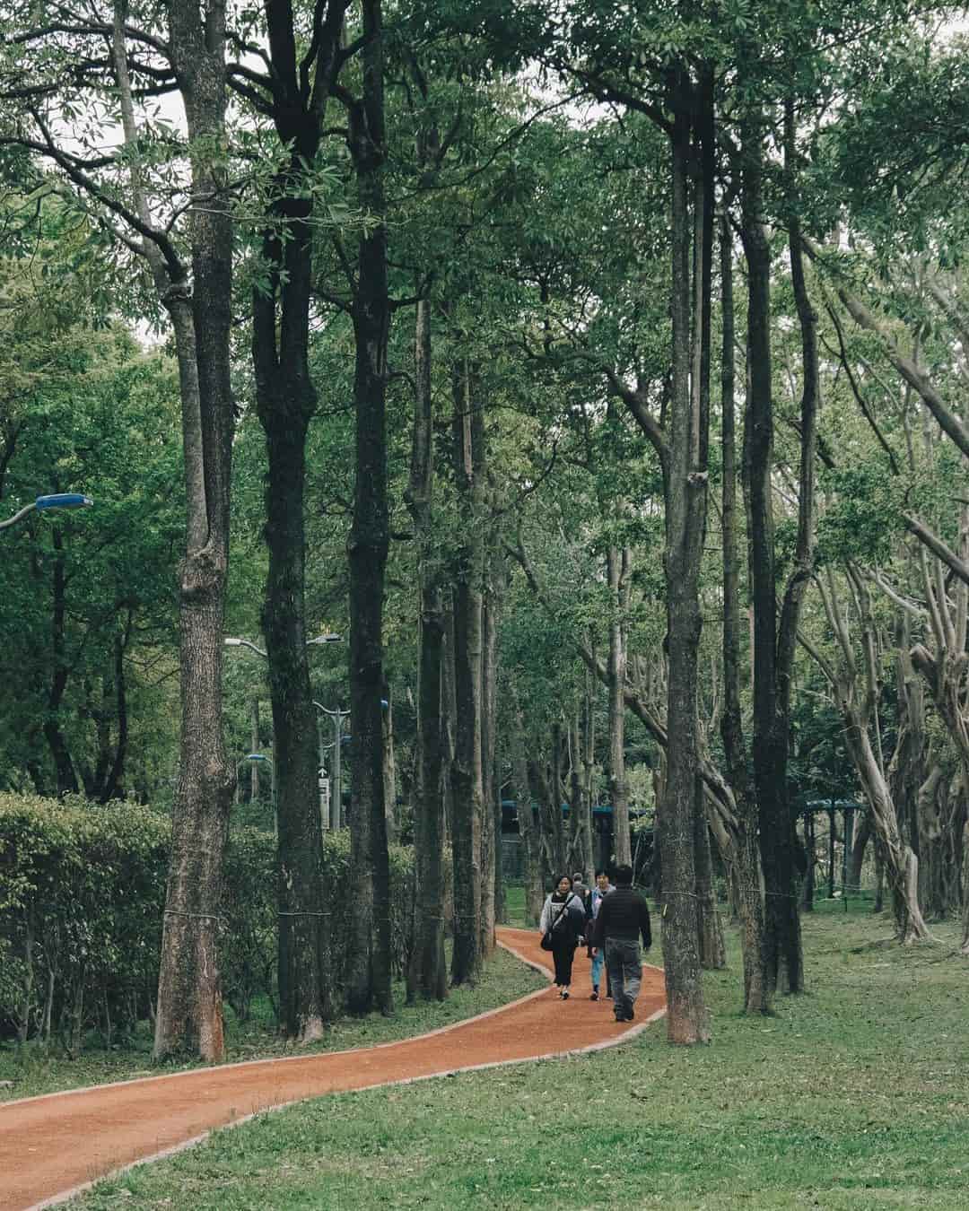 Da'an Forest Park