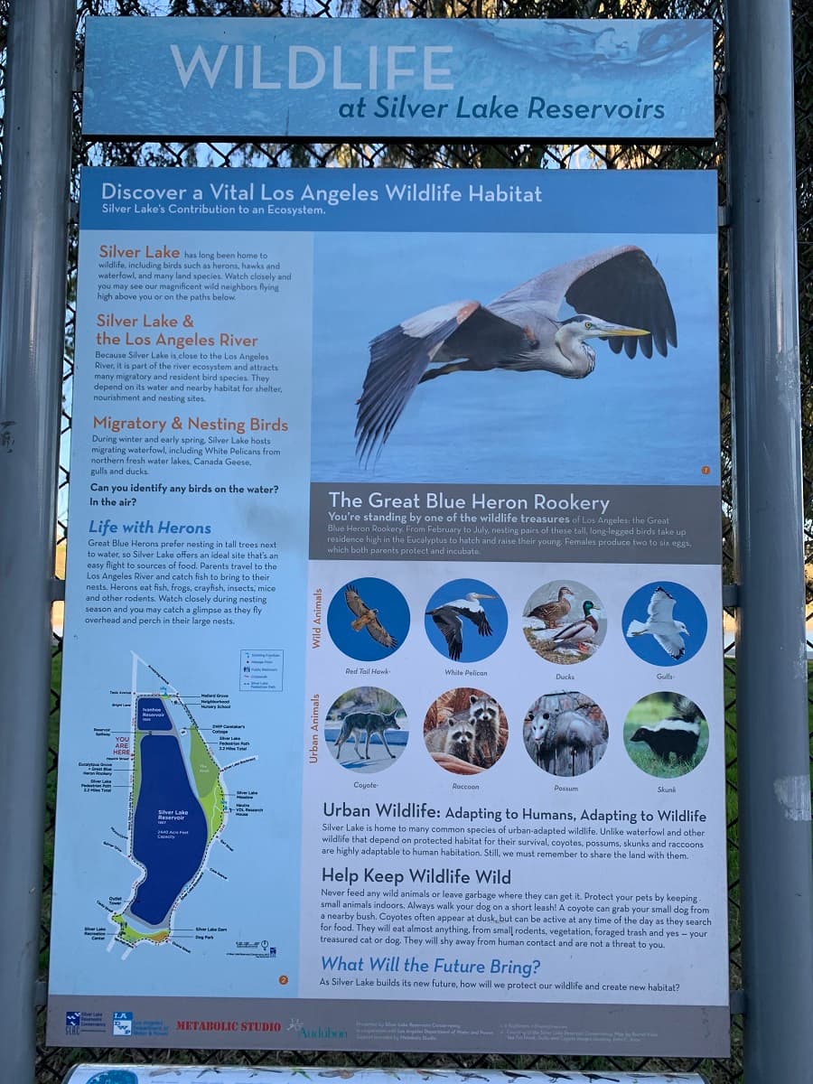 Silver Lake Reservoir