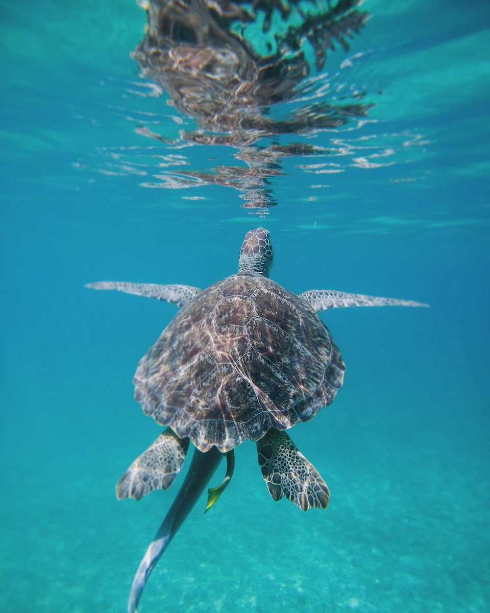 Water Island, St. Thomas Water Island, St. Thomas