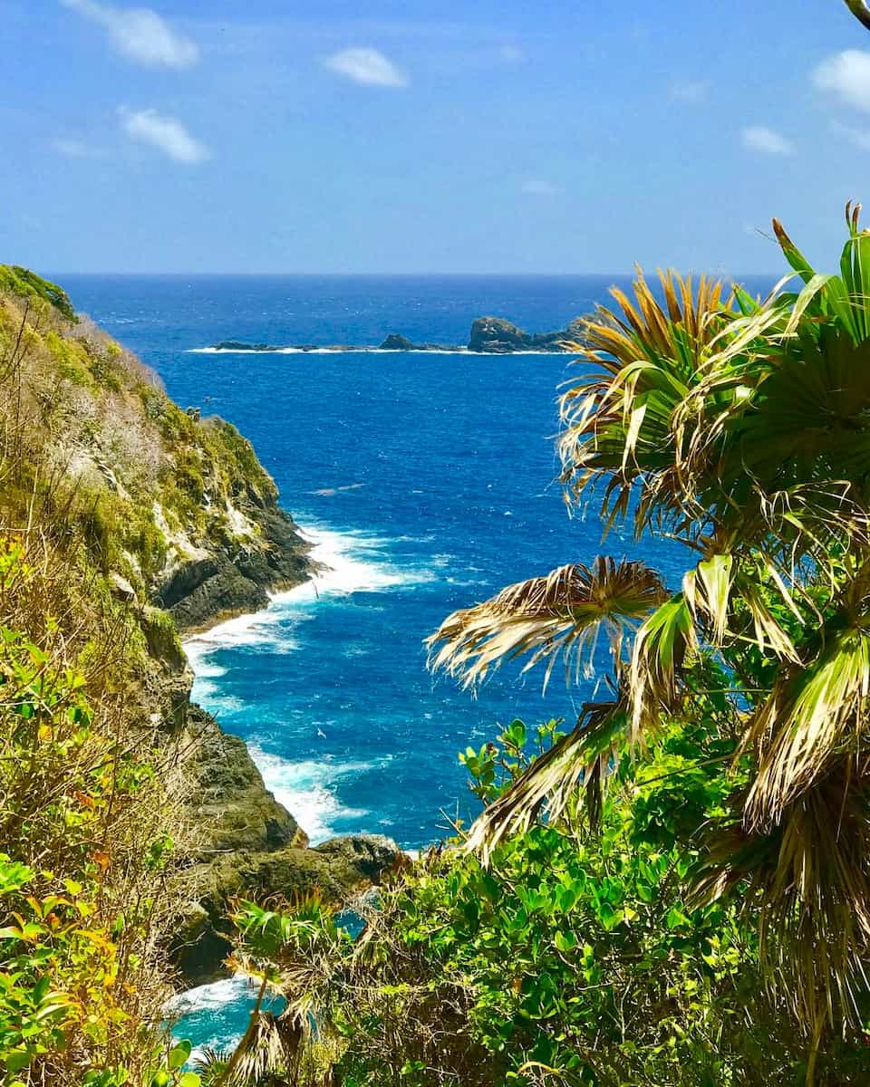 Little Tobago Island