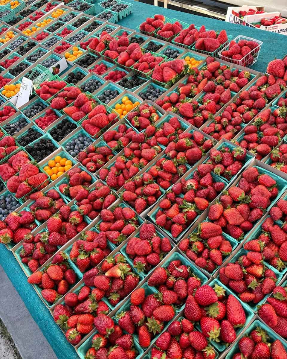 Ocean Beach Farmers Market