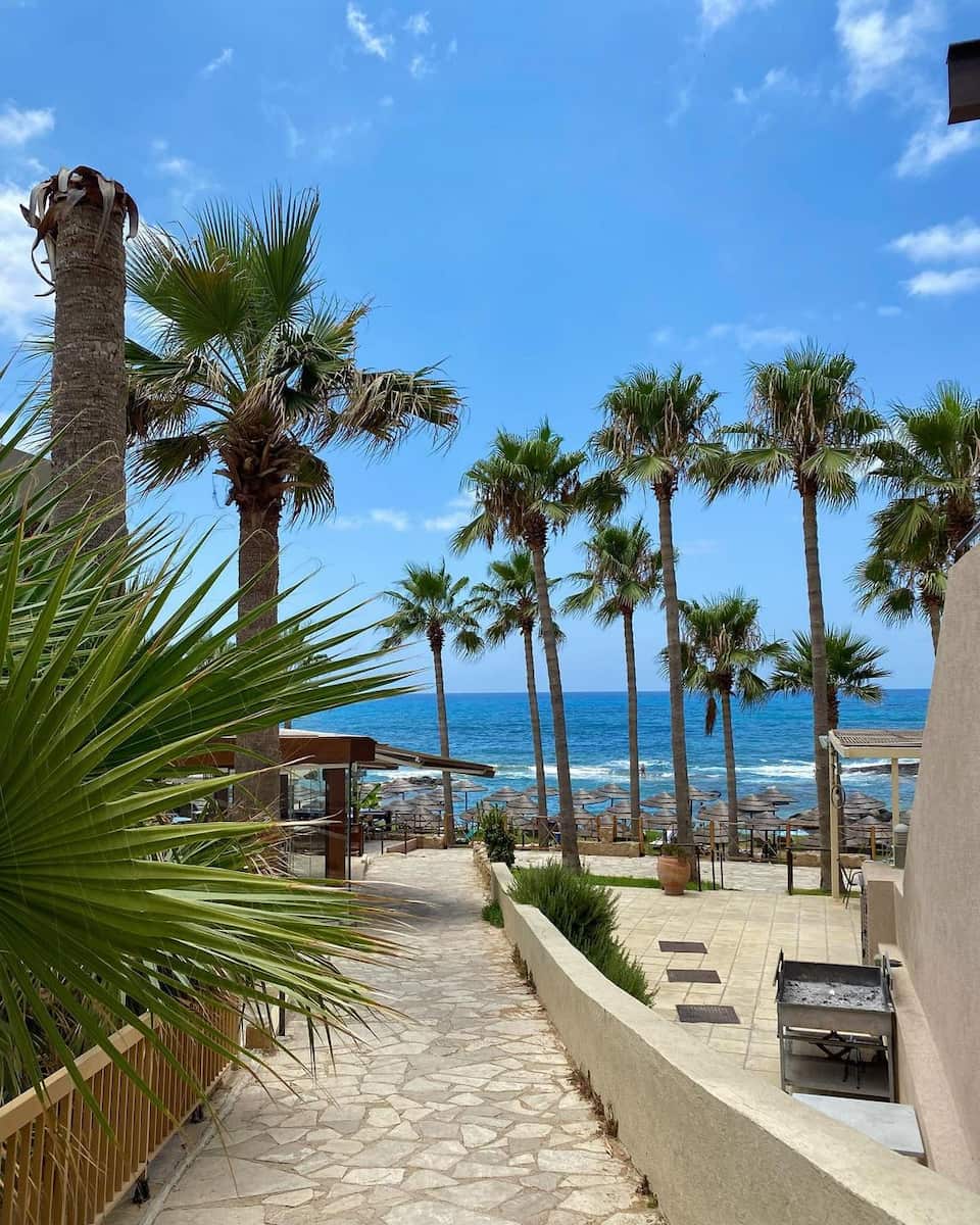 Chloraka (2) Chloraka