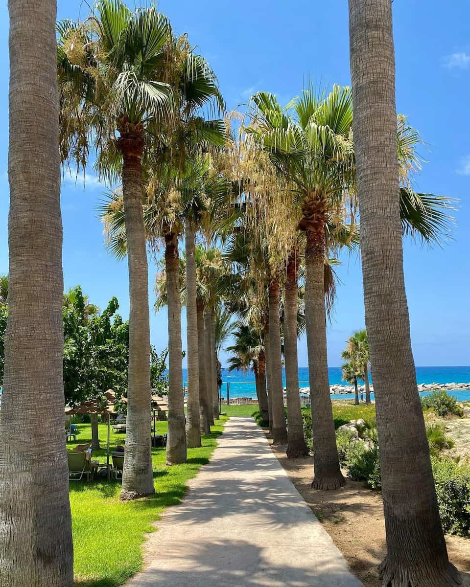 Chloraka (3) Chloraka