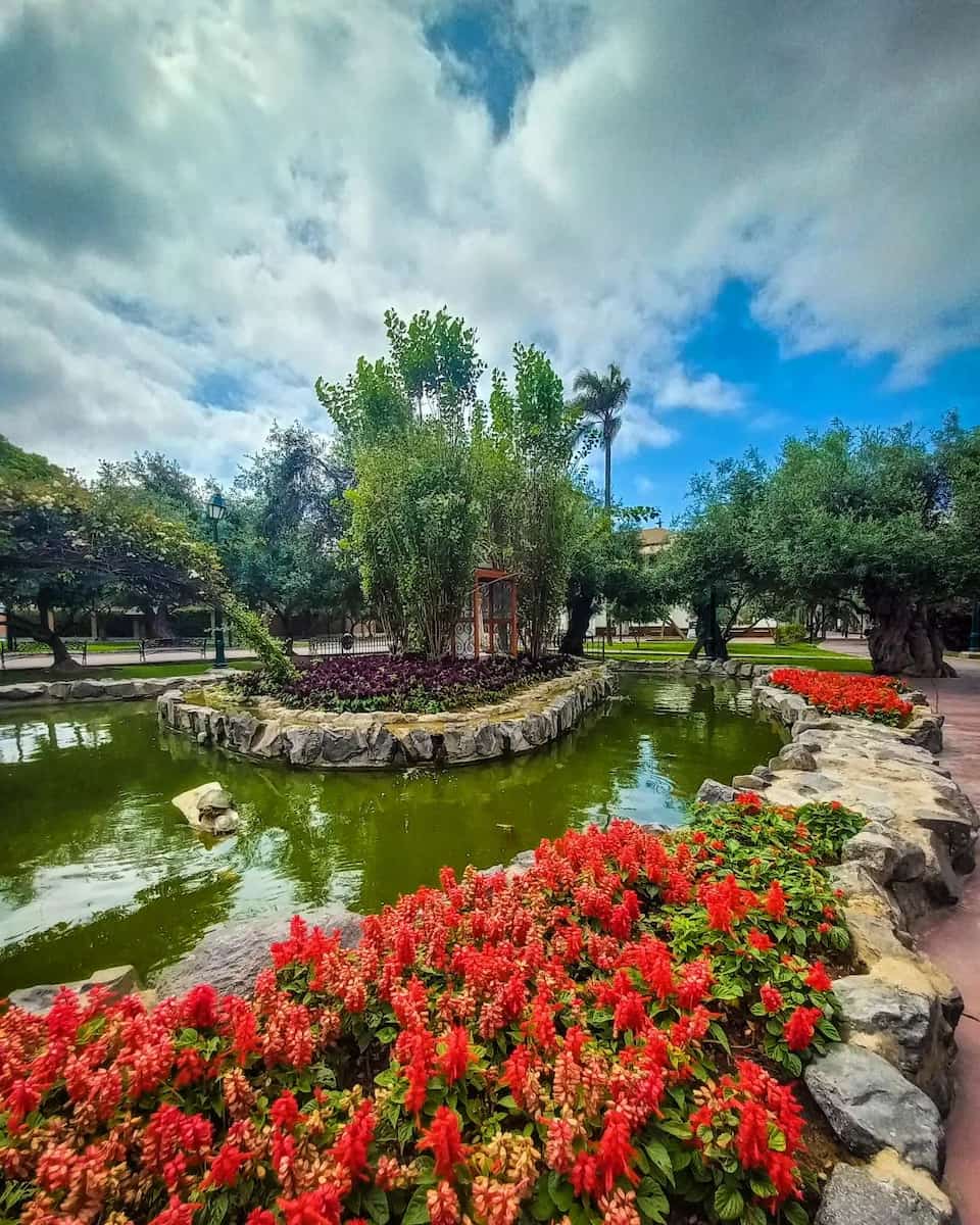 El Olivar Park, Lima El Olivar Park, Lima