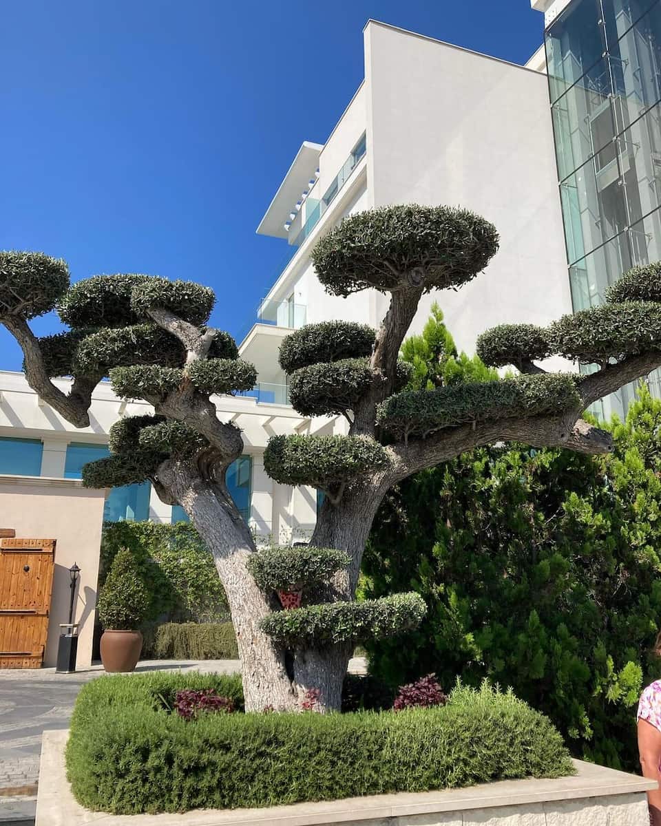 Paphos, Cyprus Paphos, Cyprus