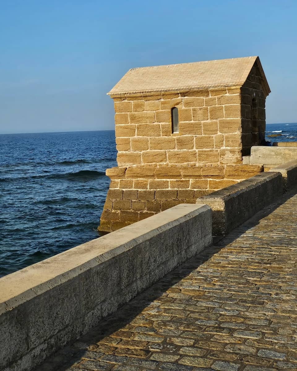 San Carlos San Carlos