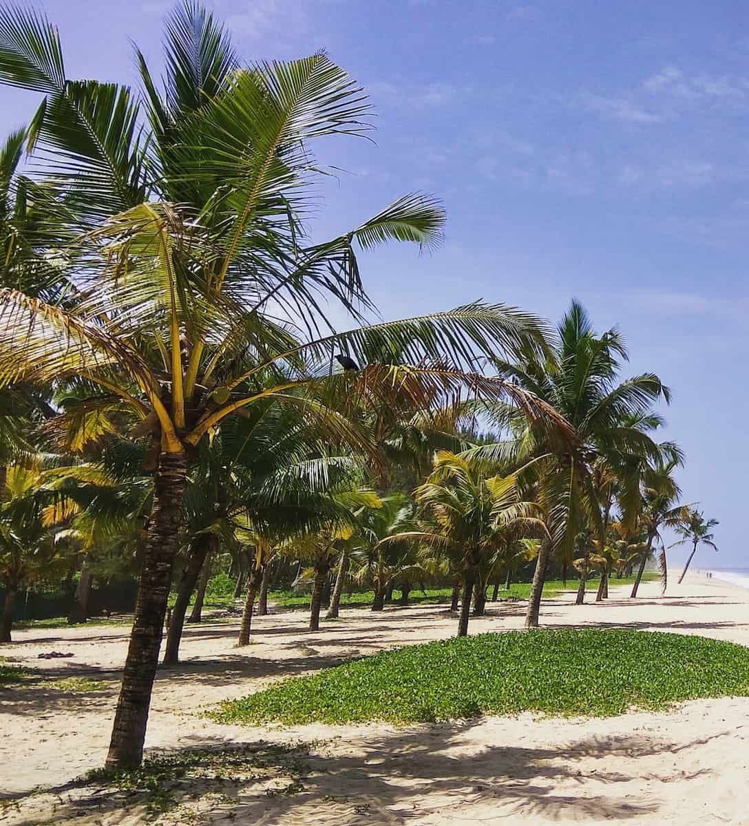 Alleppey, Marari Beach Alleppey, Marari Beach