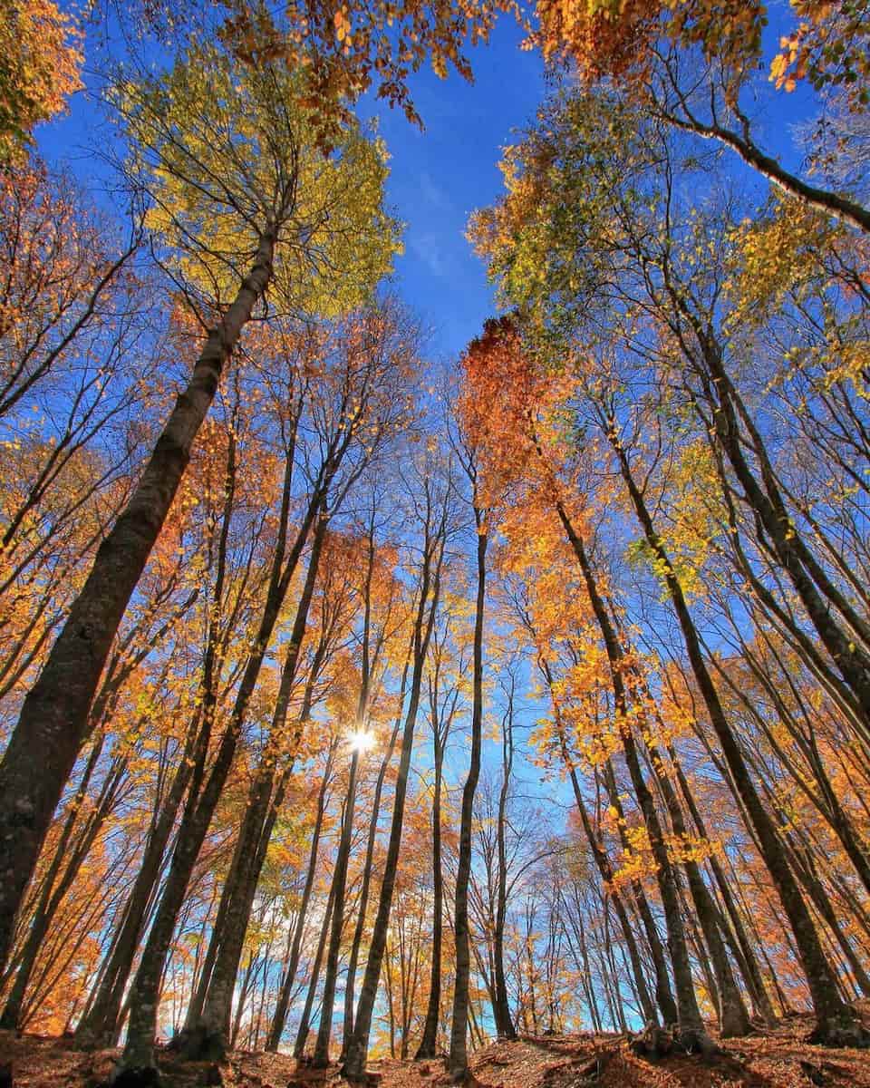 Central Halkidiki Central Halkidiki