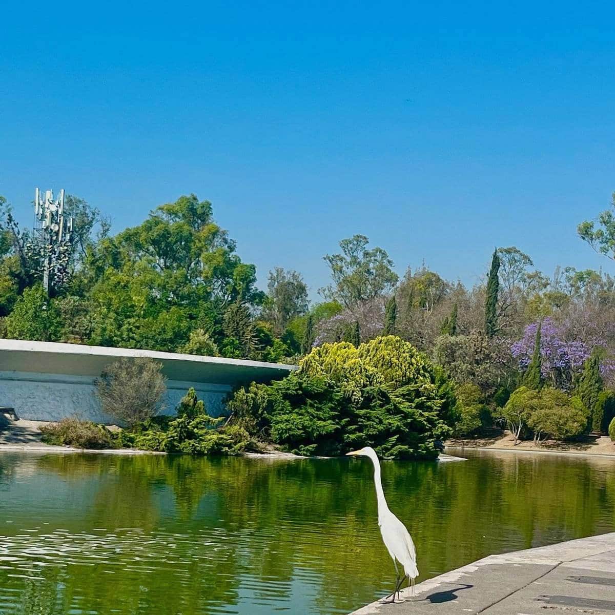 Chapultepec Park,Mexico city Chapultepec Park,Mexico city