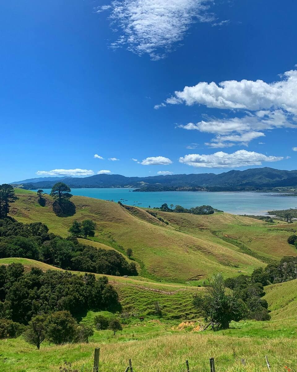 Coromandel Coromandel
