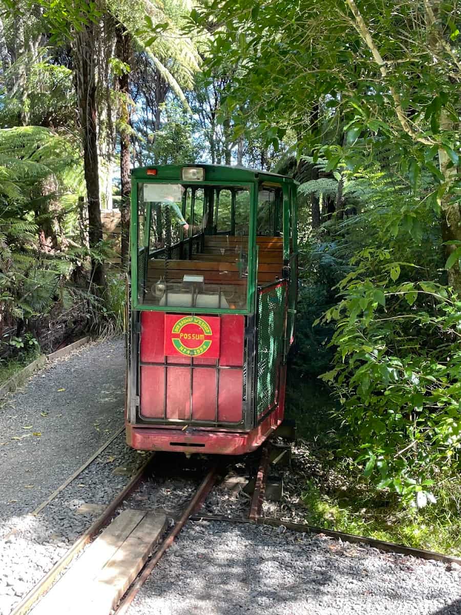 Coromandel, Creek Railway Coromandel, Creek Railway