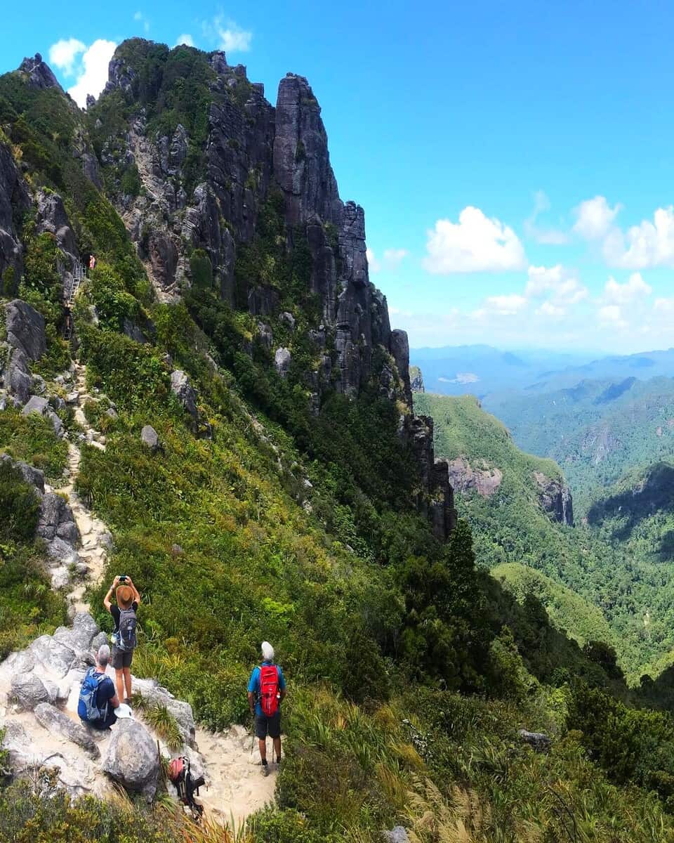 Coromandel, Kauaeranga Valley Coromandel, Kauaeranga Valley
