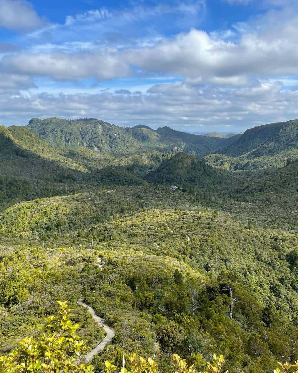 Coromandel, Kauaeranga Valley Coromandel, Kauaeranga Valley