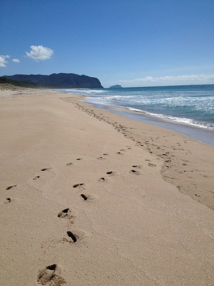 Coromandel, Opoutere Beach Coromandel, Opoutere Beach