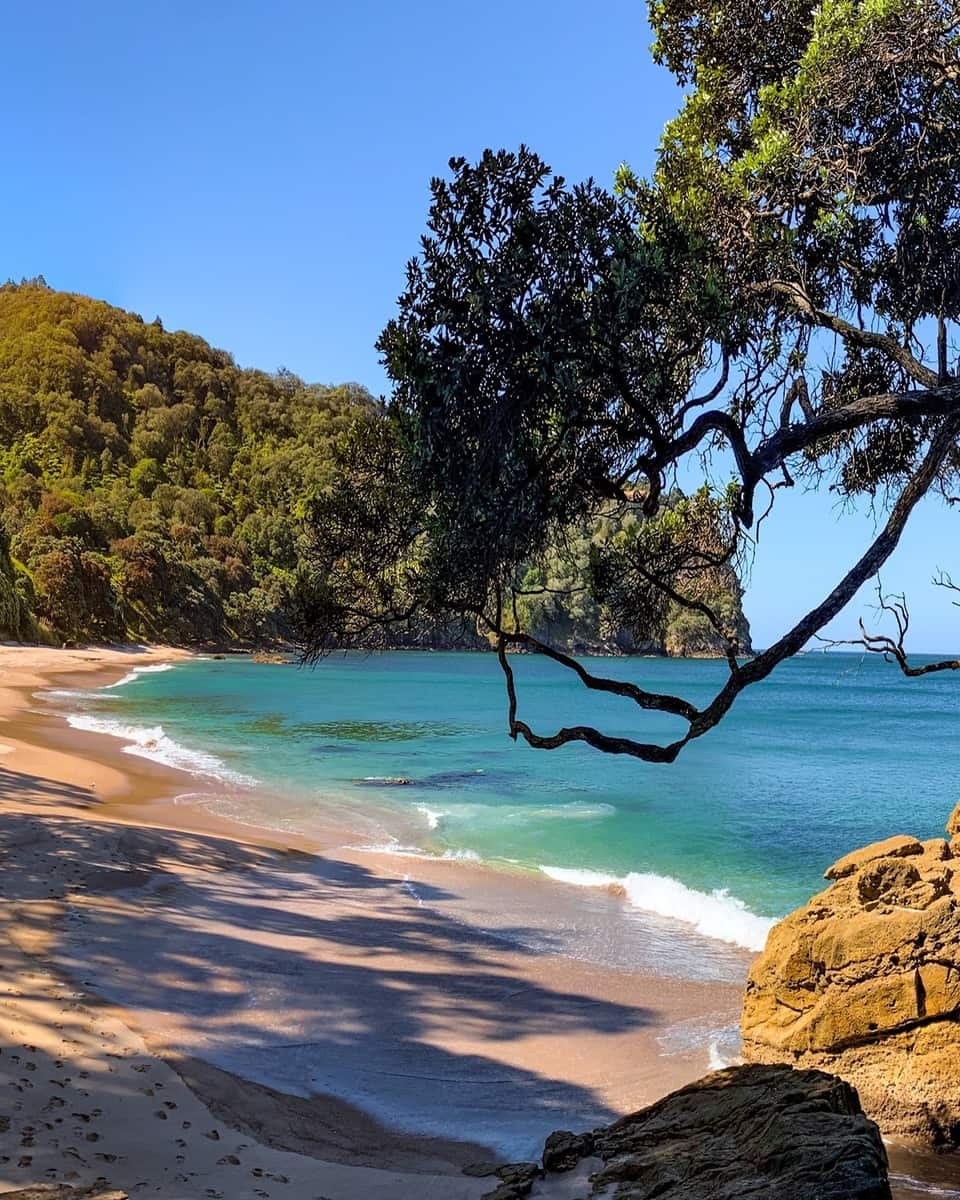 Coromandel, Orokawa Bay oromandel, Orokawa Bay