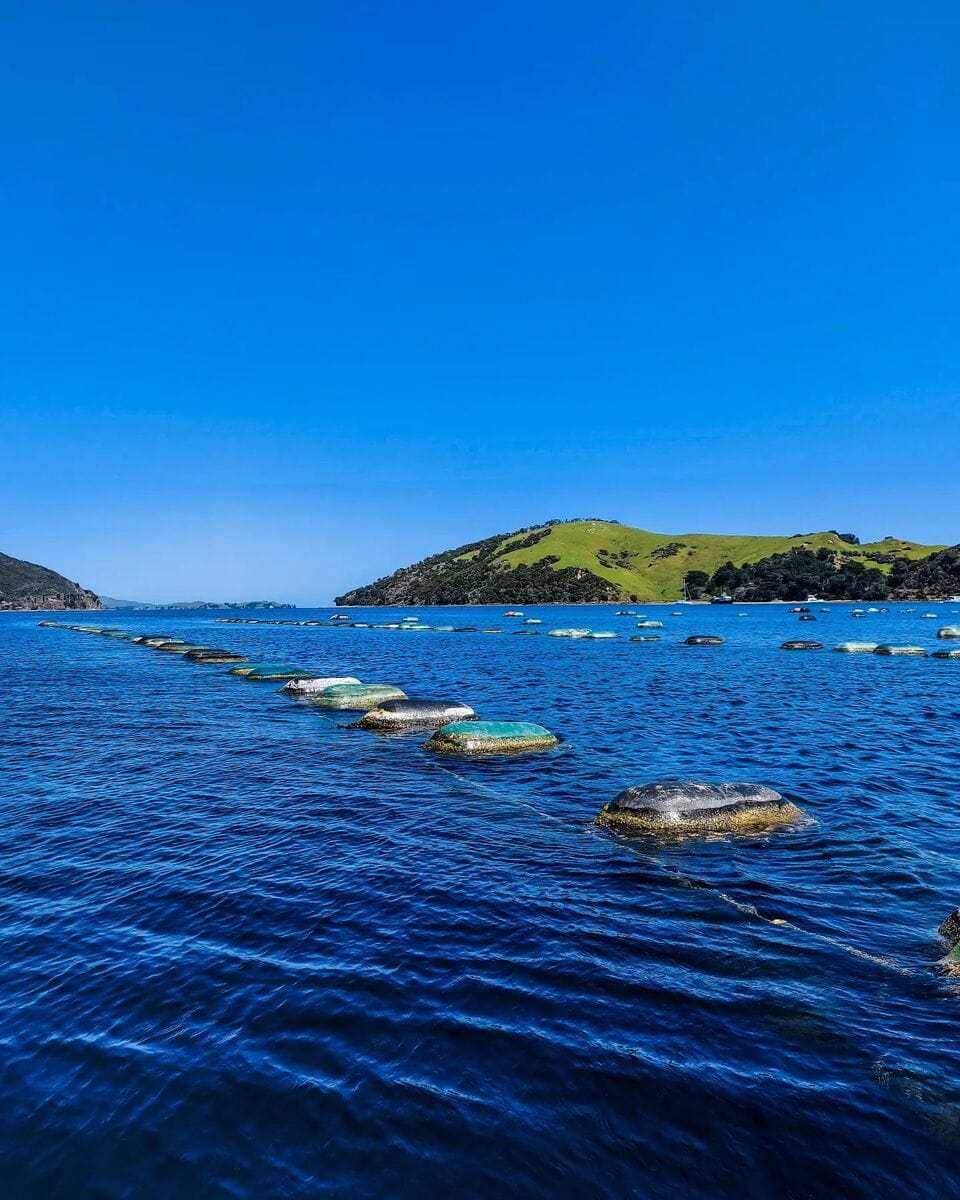 Coromandel Town Coromandel Town