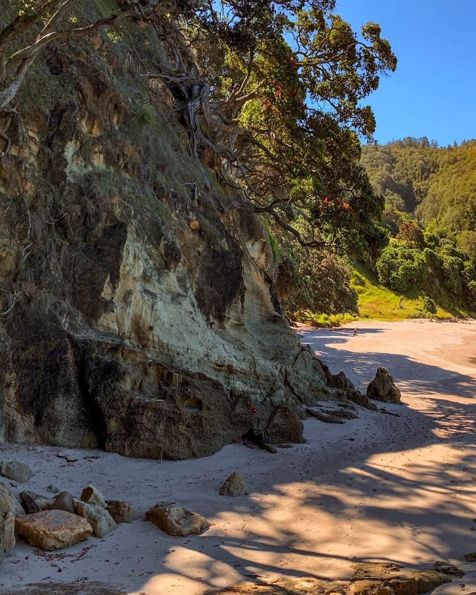 Coromandel, William Wright Falls Coromandel, William Wright Falls