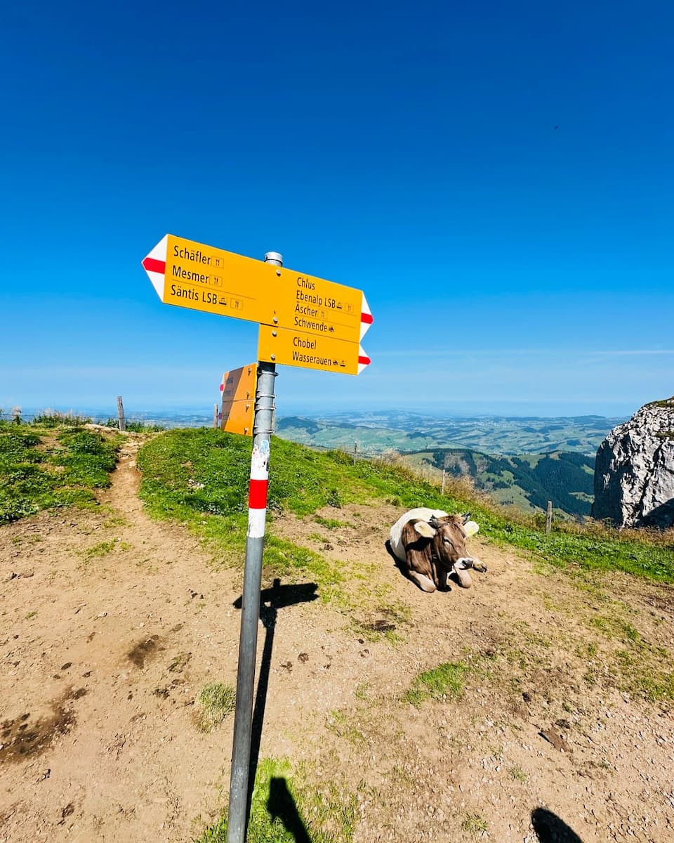 Ebenalp Appenzell Switzerland Ebenalp Appenzell Switzerland