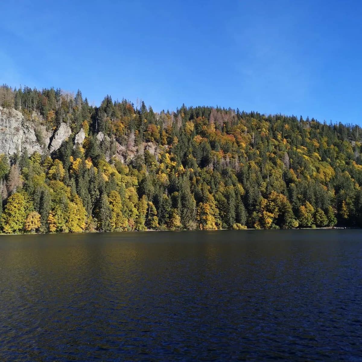 Germany, Black Forest: Feldberg Germany, Black Forest: Feldberg
