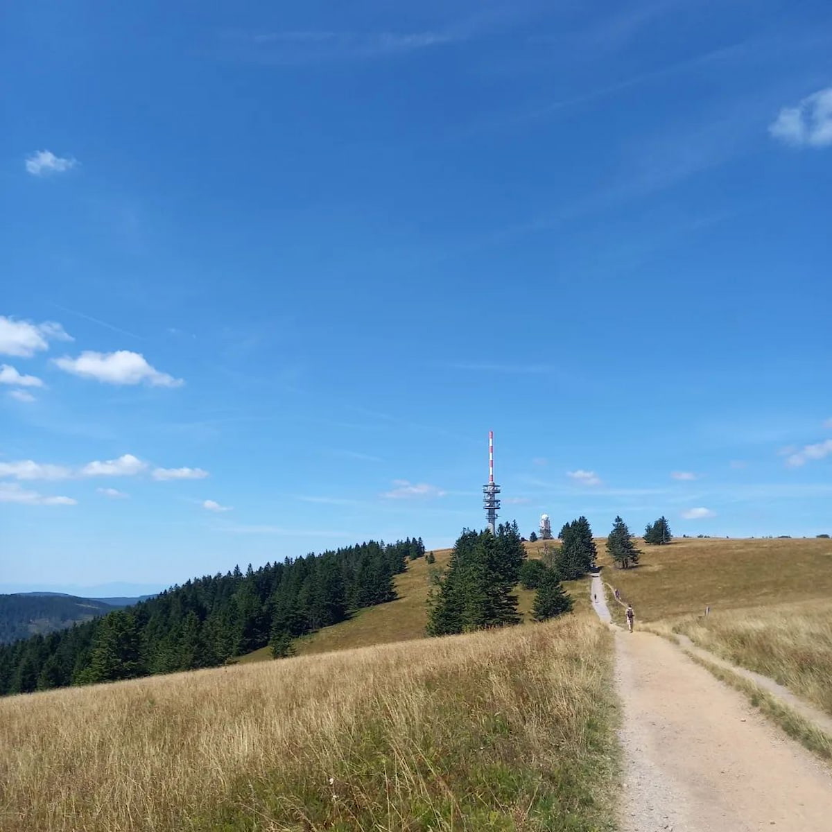 Germany, Black Forest: Titisee Germany, Black Forest: Titisee