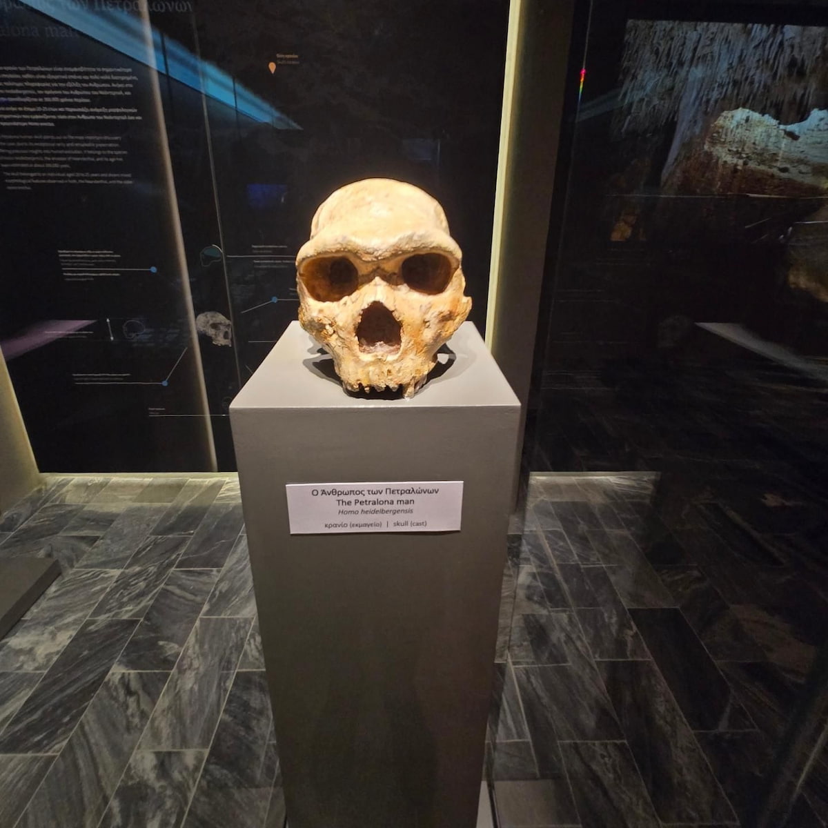 Halkidiki, Petralona Cave Halkidiki, Petralona Cave