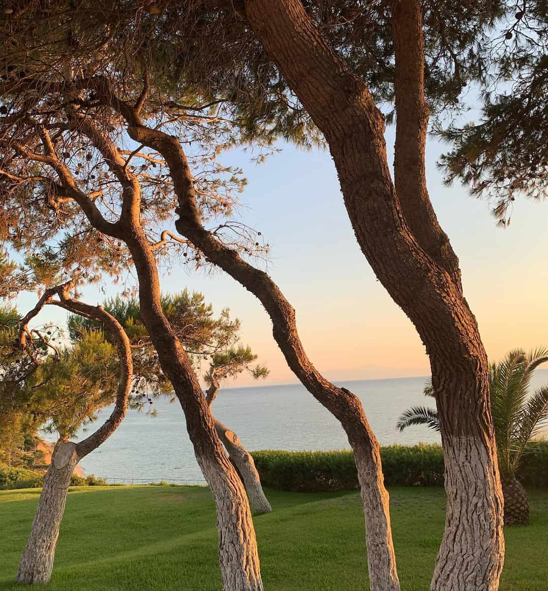 Halkidiki in Summer Halkidiki in Summer