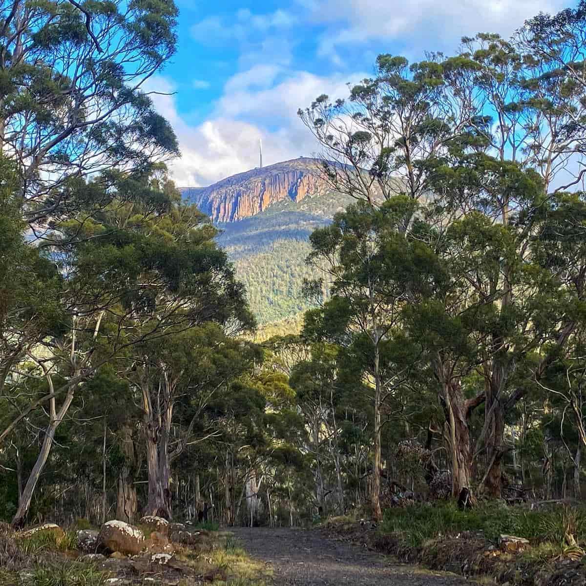 Knocklofty Reserve Knocklofty Reserve