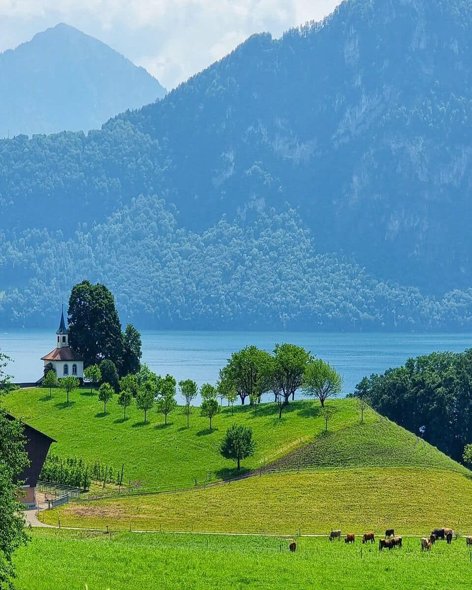 Lucerne, Weggis Lucerne, Weggis