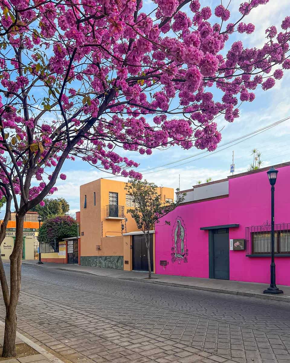 Oaxaca, Mexico Oaxaca, Mexico