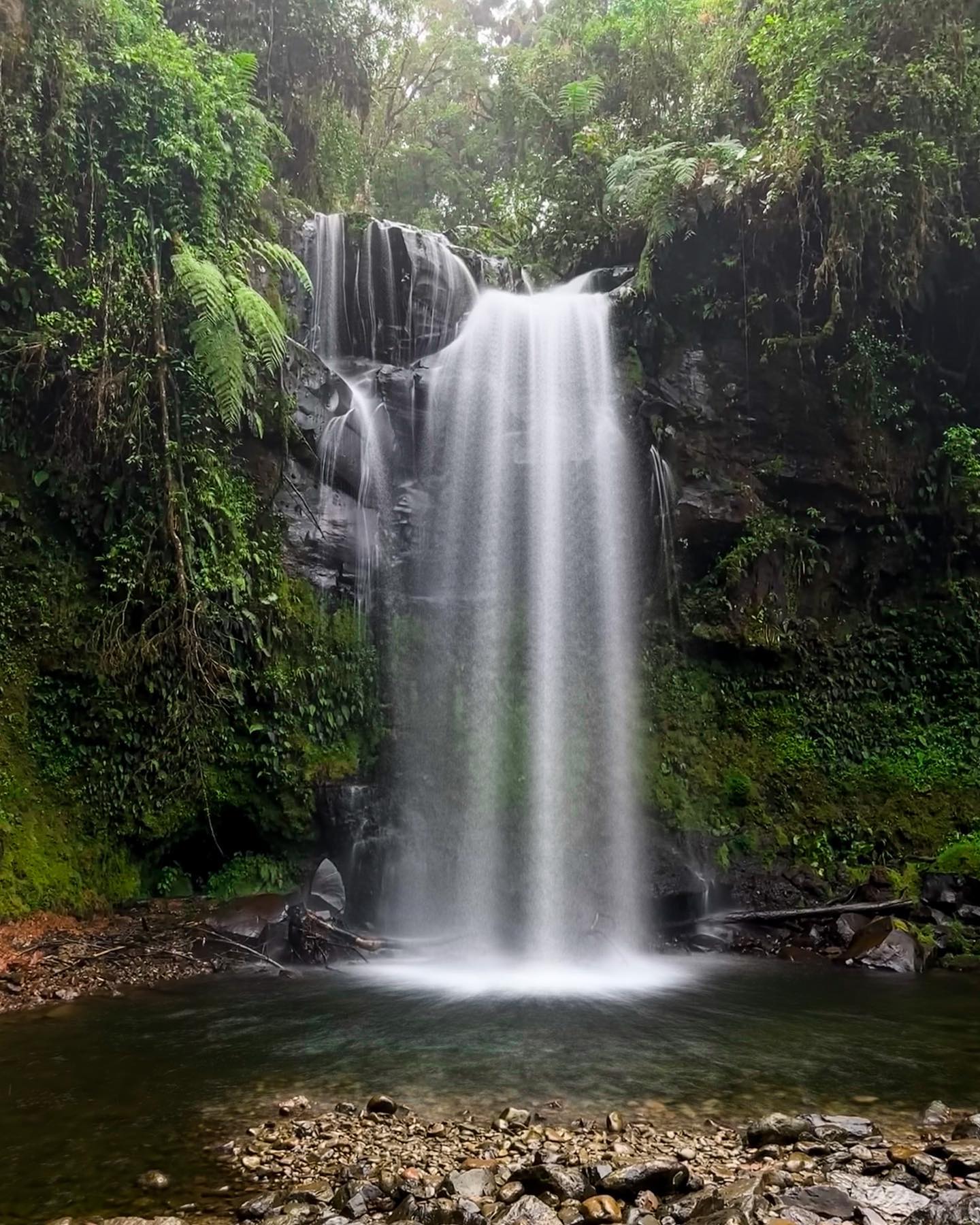 Panama, Boquete Panama, Boquete